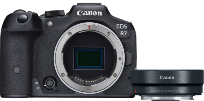 Canon EOS R7 + EF-EOS R Adapter